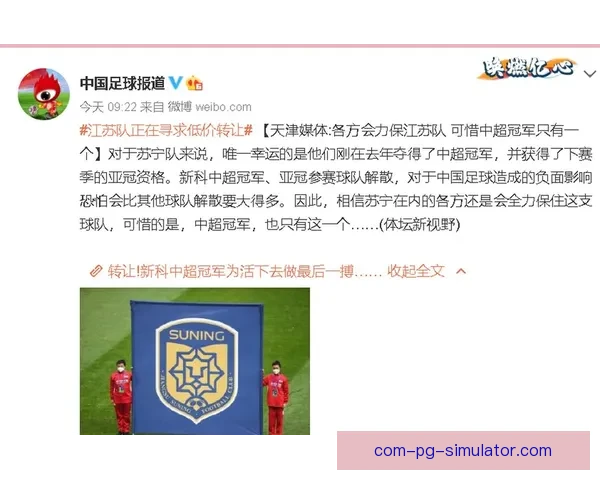 江苏苏宁中超夺冠后宣布解散 足球历史一大震动背后的故事