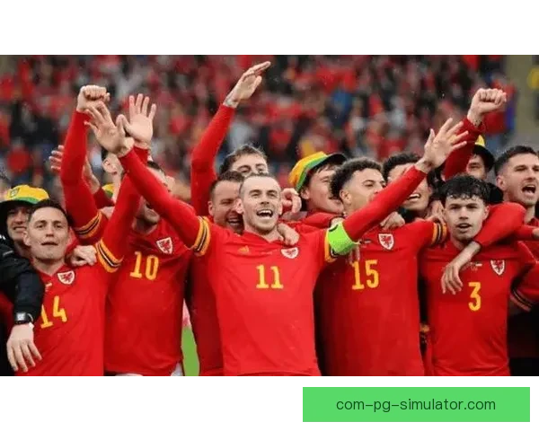 聚焦加维对阵比利时国家队赛事进攻端贡献深度解析表现与战术价值研究
